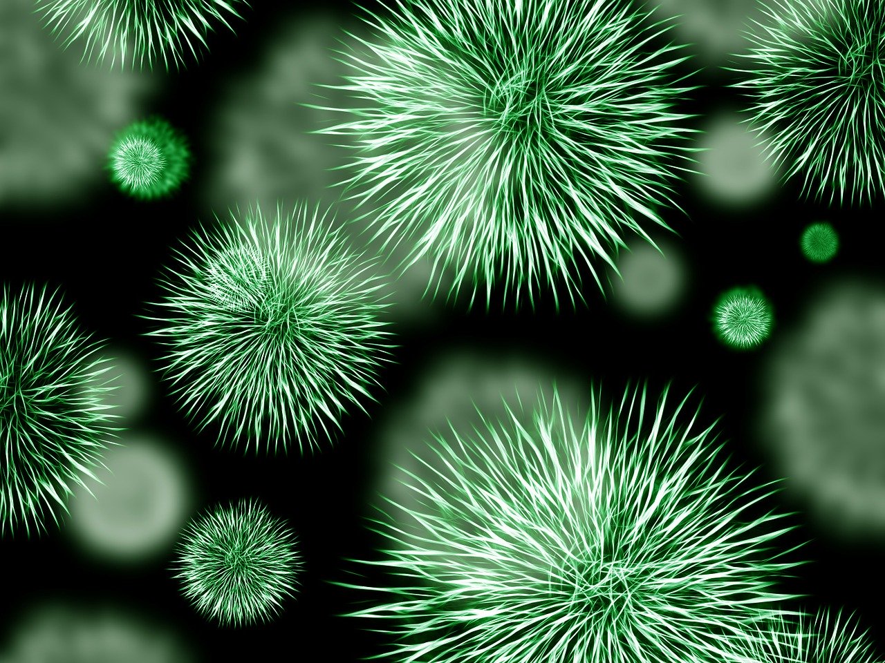 Coronavirus