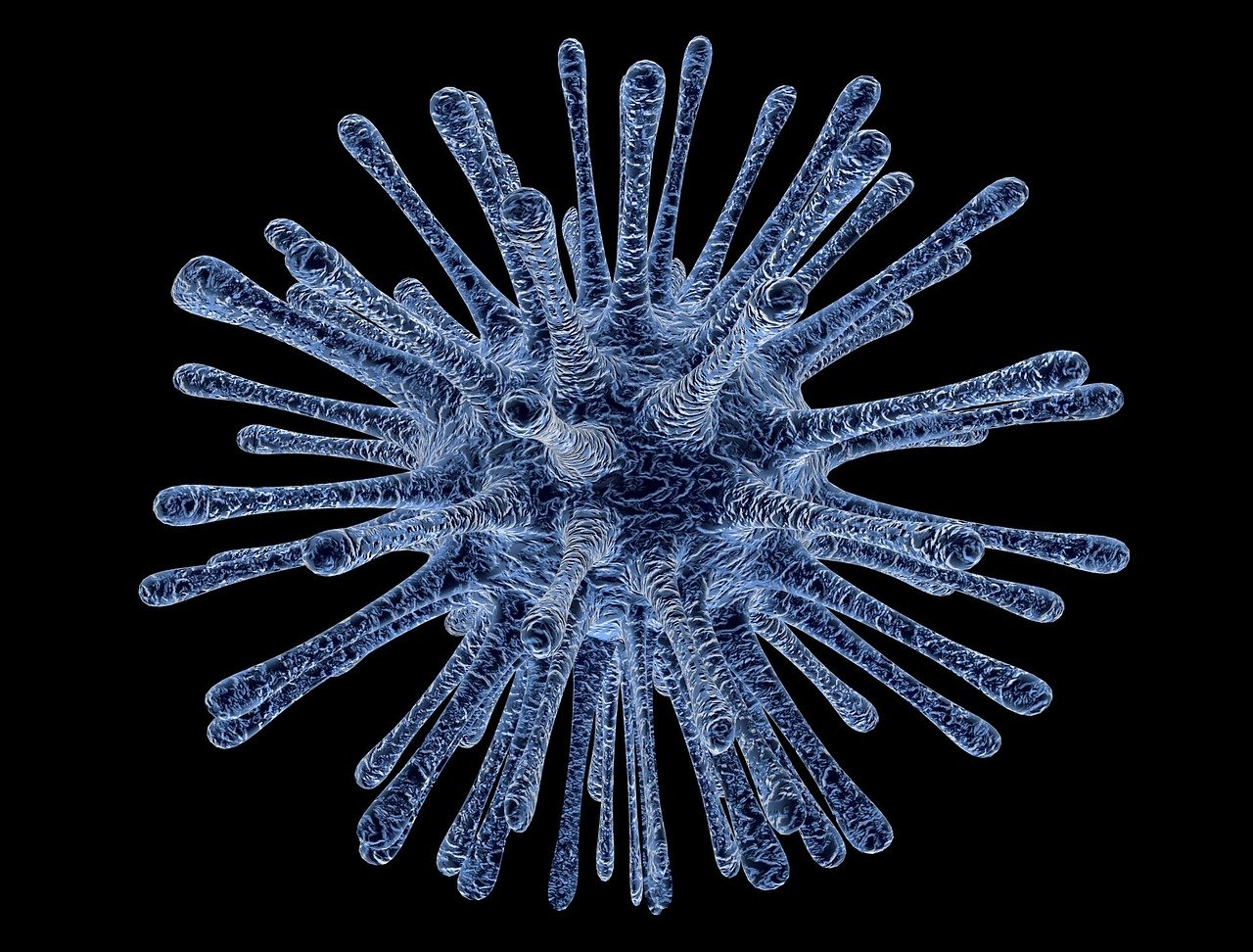 Coronavirus