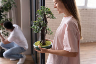 significato regalare bonsai